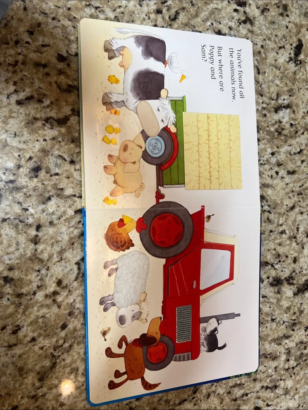 Usborne Animal Hide-and-Seek Touchy-Feely Farmyard Tales